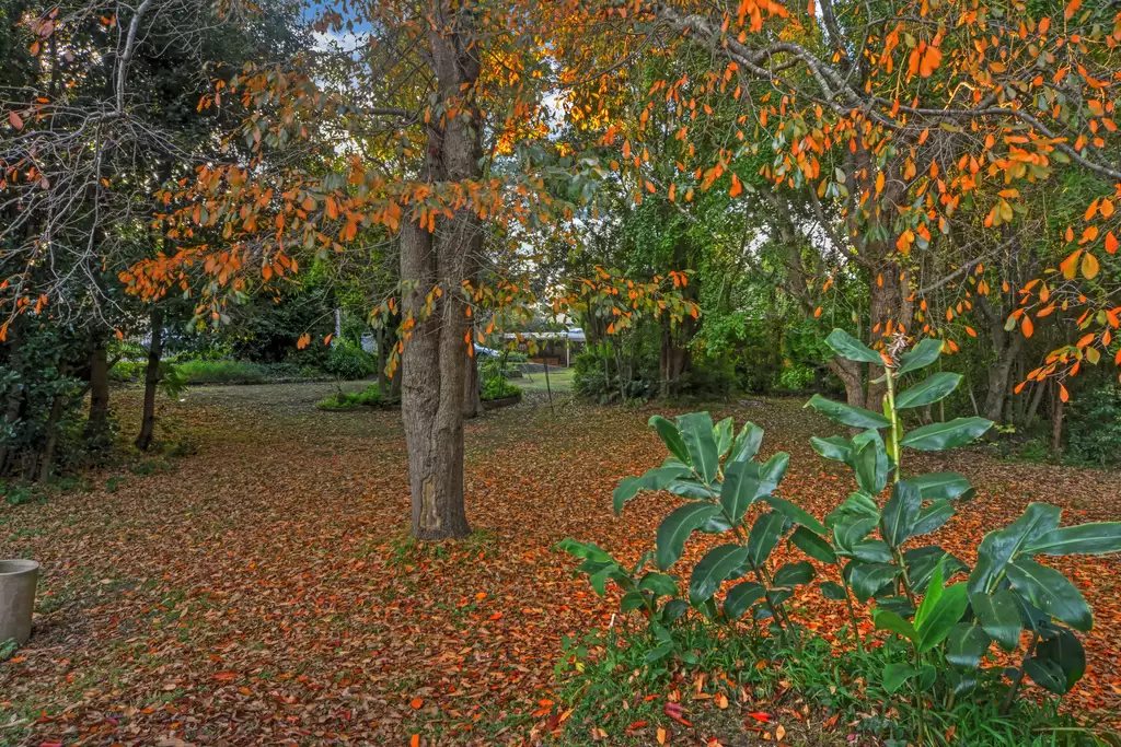 8 Hyam Street, Nowra Sold by Integrity Real Estate - image 7