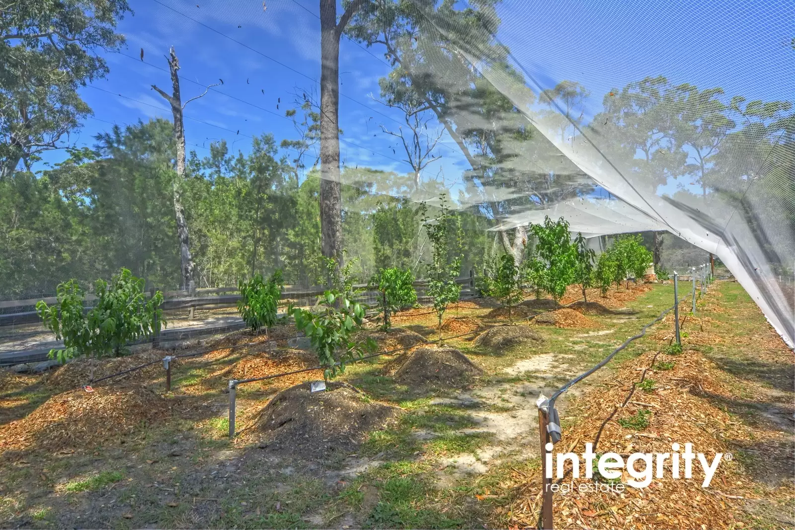 Lot 2 Advance Road, Sussex Inlet Sold by Integrity Real Estate - image 12