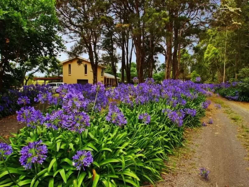 111 Worrigee Road, Worrigee Sold by Integrity Real Estate - image 8