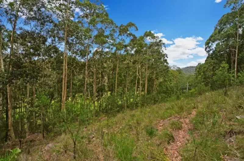 Lot 2,  DP 876682 Burrier Road, Barringella Sold by Integrity Real Estate - image 4