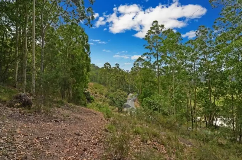 Lot 2,  DP 876682 Burrier Road, Barringella Sold by Integrity Real Estate - image 6