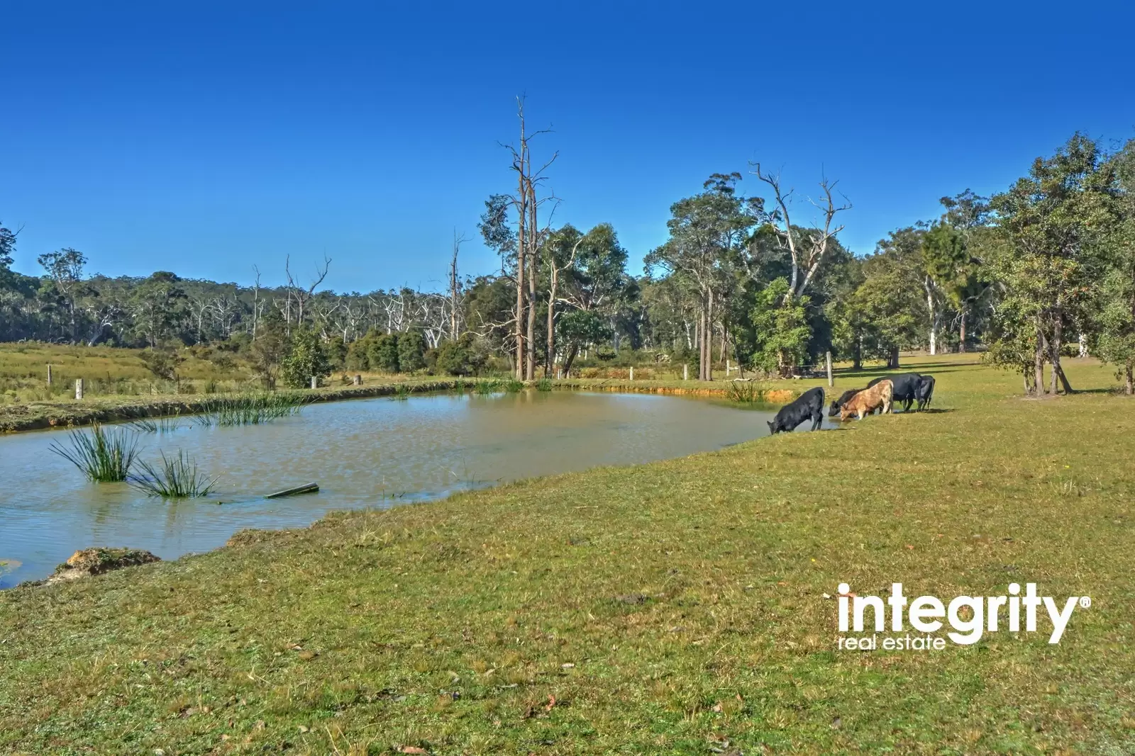 Lot 6,  Advance Road, Sussex Inlet Sold by Integrity Real Estate - image 7