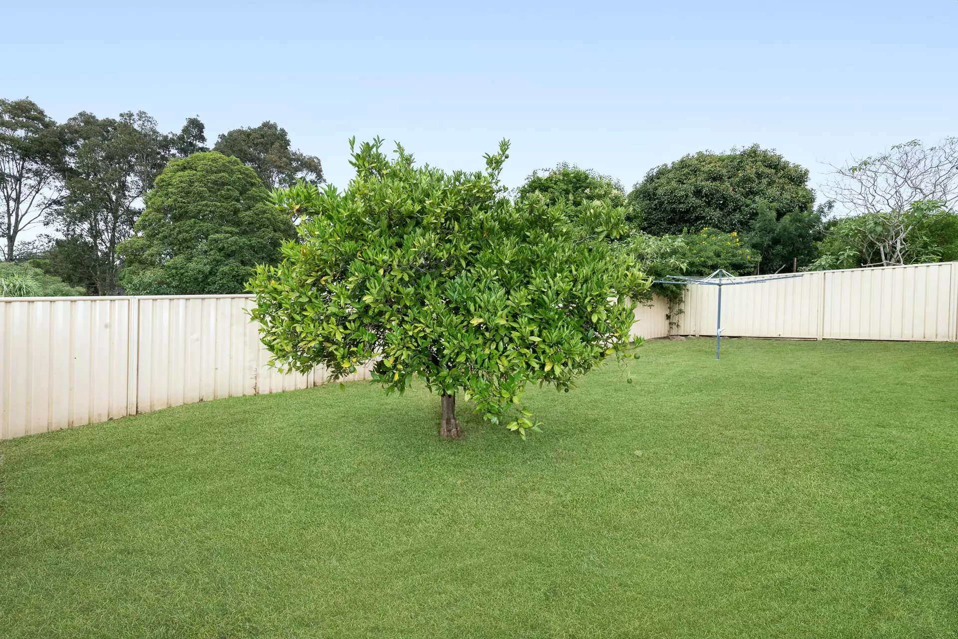 15 Elizabeth Avenue, Nowra Leased by Integrity Real Estate - image 13