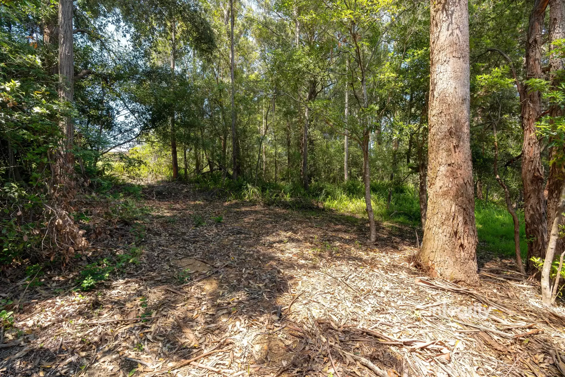 Lot Lot 61,  Dp 833017 Ilett Street, Mollymook Auction by Integrity Real Estate - image 8