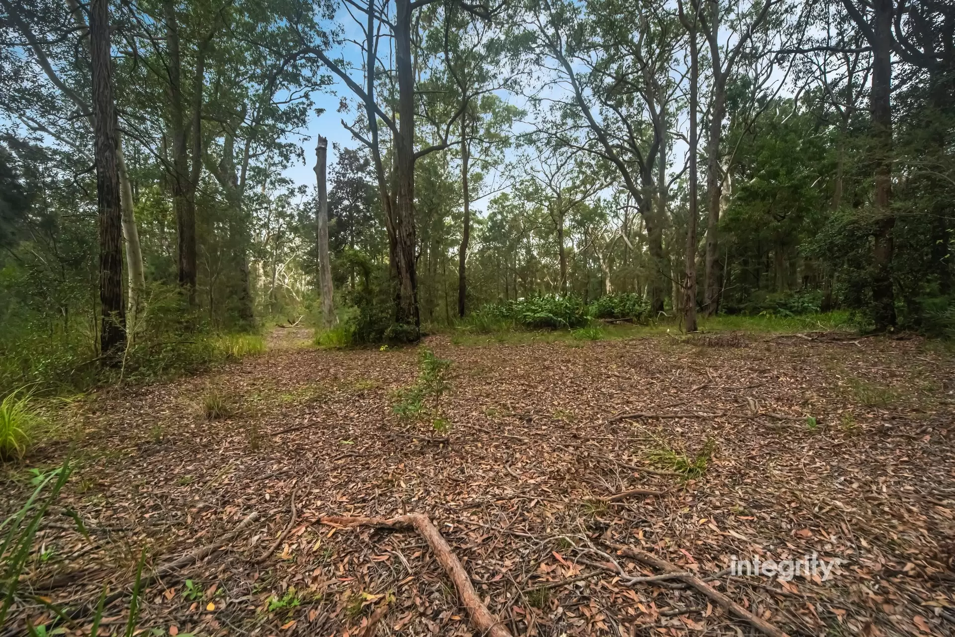 339 The Wool Road, St Georges Basin For Sale by Integrity Real Estate - image 12