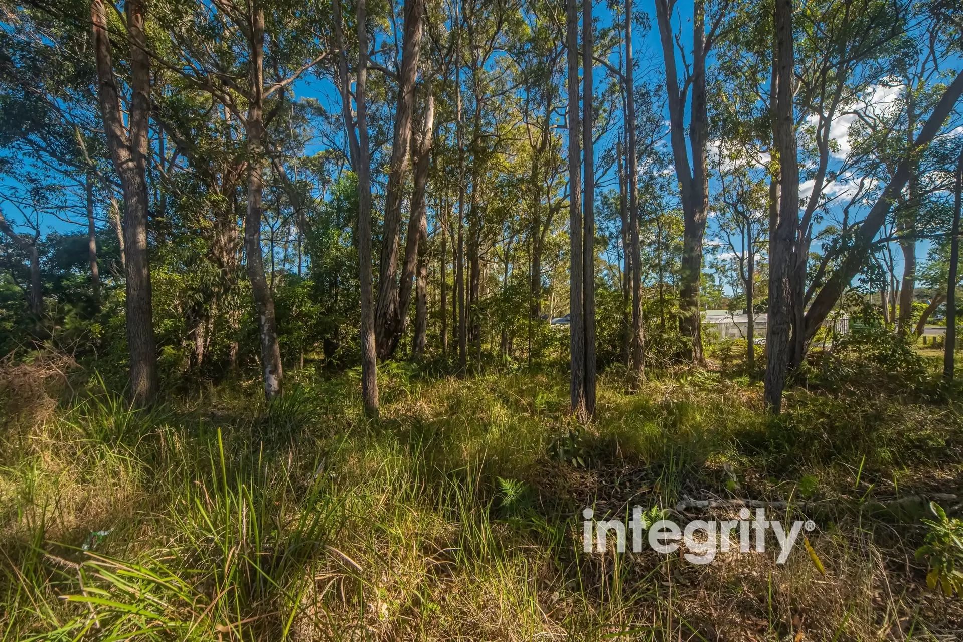 56 Emmett Street, Callala Bay Auction by Integrity Real Estate - image 6