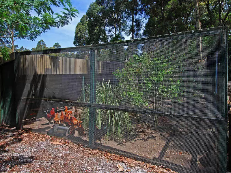 South Nowra Sold by Integrity Real Estate - image 8