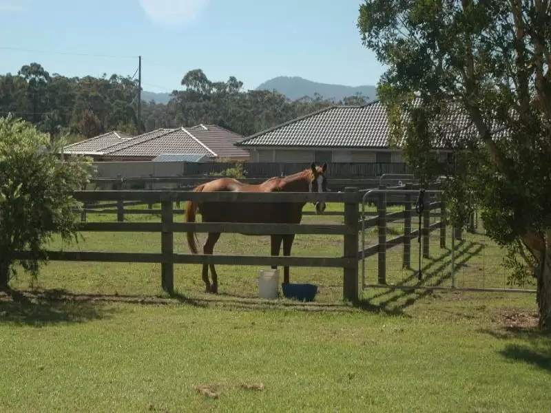 95 Albatross Road, Nowra Sold by Integrity Real Estate - image 3